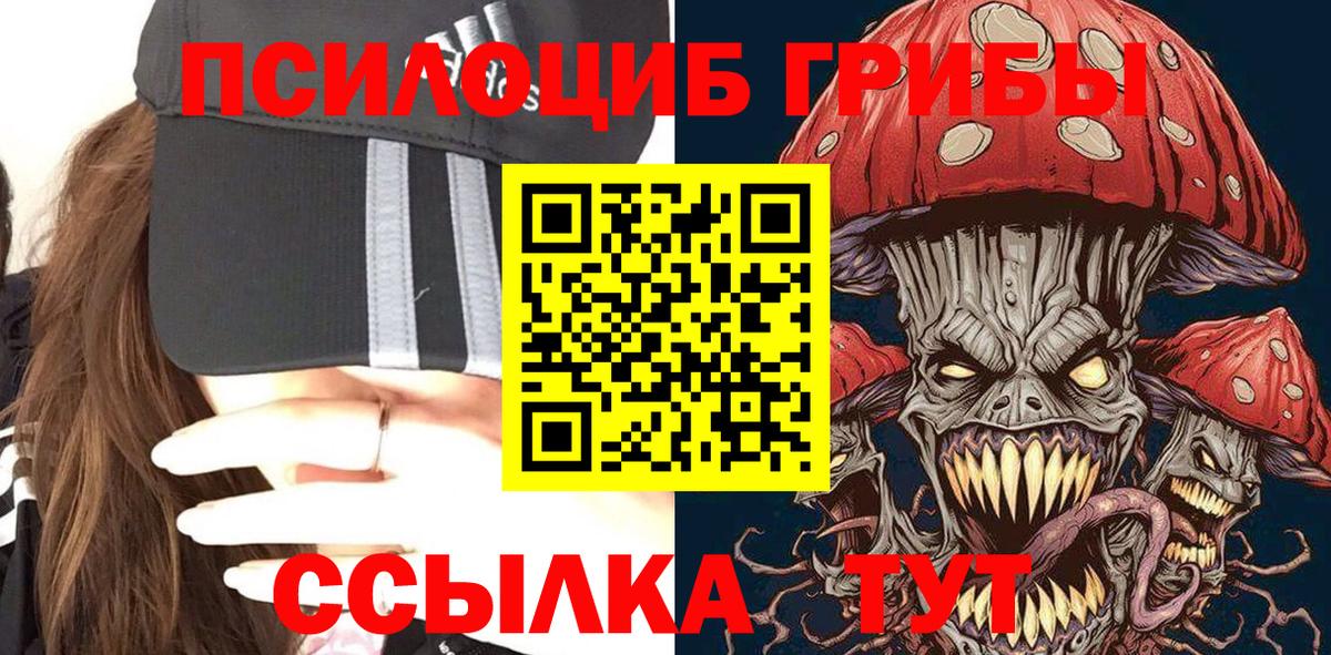 Волоколамск  купить  сайты  Вход с VPN  Галлюциногенные грибы мицелий 